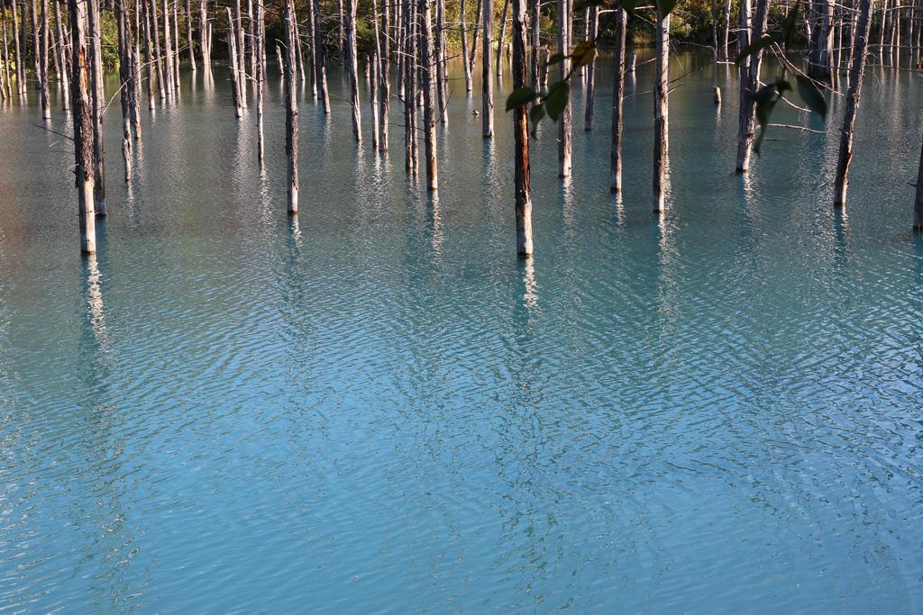 碧の美ゆゆaonobi Yuyu旧湯元白金温泉ホテル Biei Exterior foto