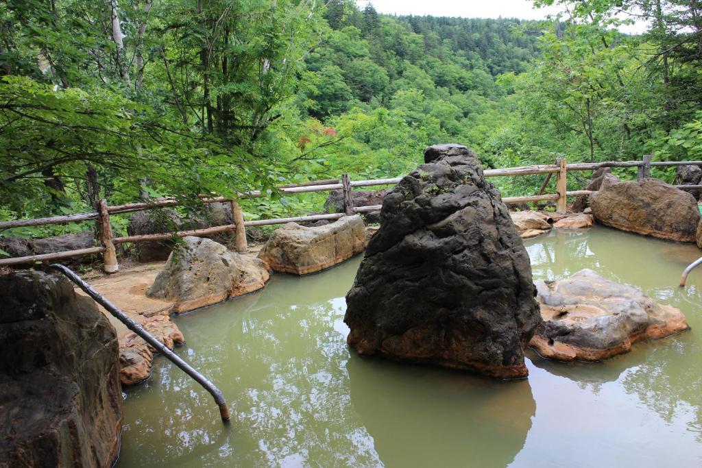 碧の美ゆゆaonobi Yuyu旧湯元白金温泉ホテル Biei Exterior foto